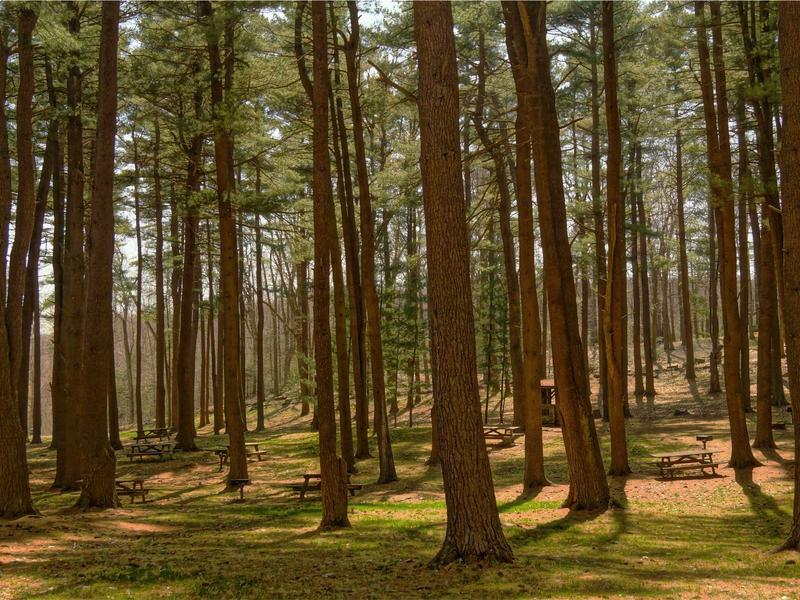 sudoku mac app screenshot 3